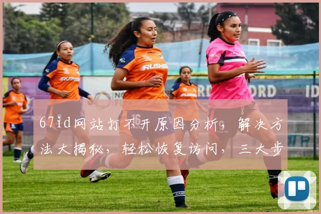 67id网站打不开原因分析，解决方法大揭秘，轻松恢复访问，三大步骤教你应对