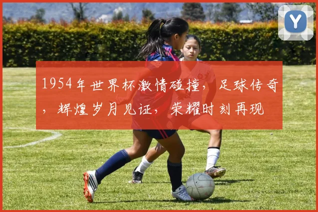 1954年世界杯激情碰撞，足球传奇，辉煌岁月见证，荣耀时刻再现